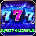 andy flower VIP v4.5.2