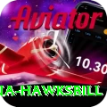 antigua hawksbill VIP Pro v4.5.6