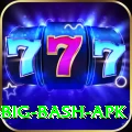 bbl big bash apk Apps (Tools & Injectors) Pro v3.9.9
