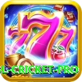 bbl cricket Game Royal v5.3.0