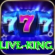 bingo - Live King