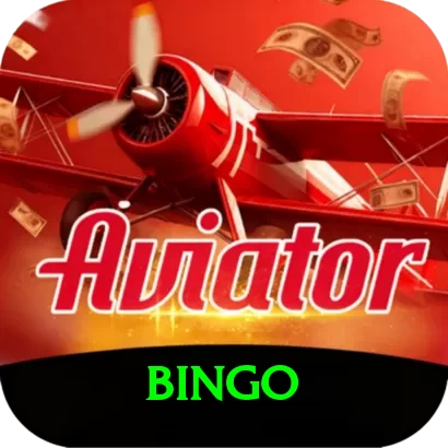 bingo VIP Pro vv4.8.4 - 2