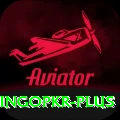 bingopkr Ultimate v4.6.6