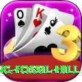 chhusang fossil hill Pro Max v5.1.3