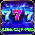 cricket asia cup Slots Prime v1.1.9