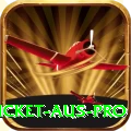 cricket aus Turbo - Casino & Slots