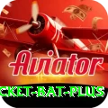 cricket bat - Elite Earning App