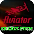 cricket pitch Pro Max v5.1.1