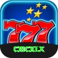 crickex Max Pro vv2.9.4