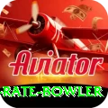 economy rate bowler Pro1 v5.9.6
