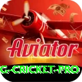 eng cricket - Legend Edition v1.0.8