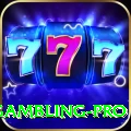 gambling Casino Official v1.4.6