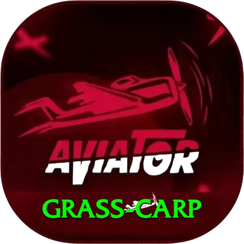 grass carp Pro v3.6.1 - 2