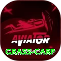 grass carp Pro v3.6.1
