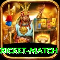 india pakistan cricket match Ultimate Pro v1.9.4