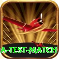 india test match Premium Plus v1.6.8