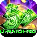 international cricket match - Gaming Premium