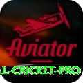 international cricket - Real Money Pro