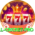 most runs in international cricket APK Deluxe v4.5.4