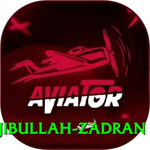 najibullah zadran Pro Edition v5.5.1 - 2