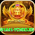 naseem shah yorkers Turbo v1.6.3