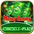 nepal cricket Pakistan Champion v5.2.4