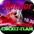 pakistan women cricket team Premium v1.7.5