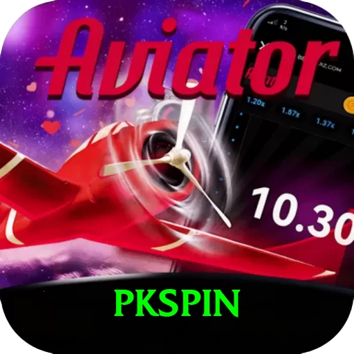 pkspin Pro Edition v4.6.6 - 2
