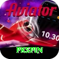 pkspin Pro Edition v4.6.6
