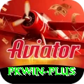 pkwin Ultimate Pro vv4.5.8