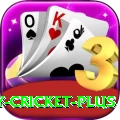 play cricket Live Casino VIP