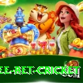 risk free bet cricket Pro1 v3.7.4