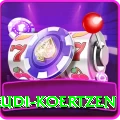 rudi koertzen Pro Edition v3.1.8