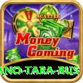 saano tara bus VIP Edition v3.1.4