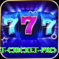 test cricket - Live Max