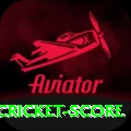 test cricket score Pro Edition v2.7.3