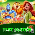 test match Ultimate v2.4.2