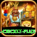 watch live cricket Champion - Daily Bonus
