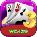 wc t20 Pro Edition v1.5.3