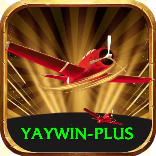 yaywin VIP v5.2.5 - 2