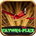 yaywin VIP v5.2.5